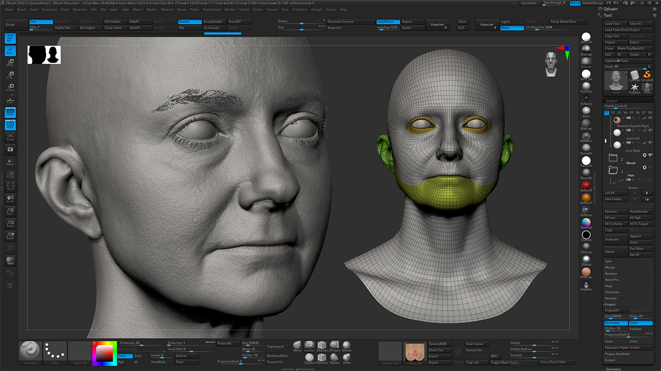 Download Zbrush head sculpt